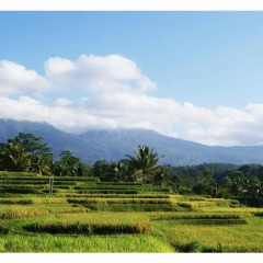 Отель Ti Amo Bali Resort фото 2