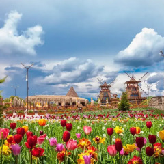Отель The Wind Mills Hydropark