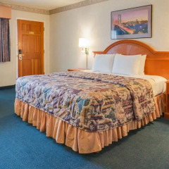 Отель Nob Hill Motor Inn 2* Номер Делюкс с различными типами кроватей фото 2