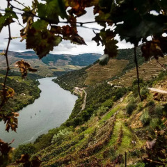 Отель Casas da Quinta de Merouco Португалия, Алижо - отзывы, цены и фото номеров - забронировать отель Casas da Quinta de Merouco онлайн приотельная территория