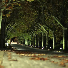 The Wine House Hotel - Quinta Da Pacheca Ламего фото 5