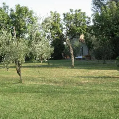 Отель Villa Tanini Реггелло фото 2