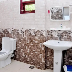 Отель Little Swan Guest House Шри-Ланка, Бентота - отзывы, цены и фото номеров - забронировать отель Little Swan Guest House онлайн ванная