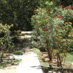 Отель Tissakumbura Holiday Home фото 8