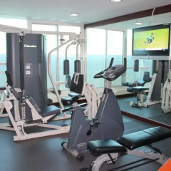 Отель Royal Ascot Hotel Apartment - Kirklees 2 ОАЭ, Дубай - отзывы, цены и фото номеров - забронировать отель Royal Ascot Hotel Apartment - Kirklees 2 онлайн фитнесс-зал фото 2