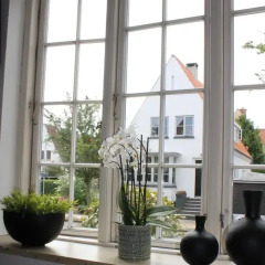 Отель Alberte Bed & Breakfast Дания, Оденсе - отзывы, цены и фото номеров - забронировать отель Alberte Bed & Breakfast онлайн фото 4