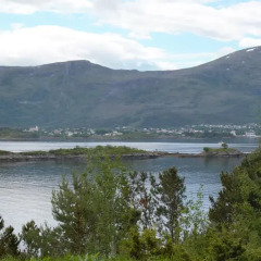 Отель Volsdalen Camping Норвегия, Олесунн - отзывы, цены и фото номеров - забронировать отель Volsdalen Camping онлайн приотельная территория фото 2