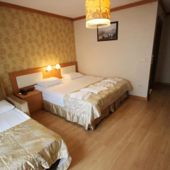 Flower Palace Hotel 3* Стандартный номер с различными типами кроватей фото 6