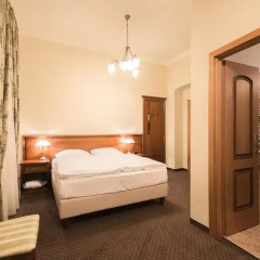 Spa Hotel Anglicky Dvur 3* Стандартный номер с двуспальной кроватью