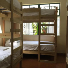 Backpackers Hostel Кровать в общем номере с двухъярусной кроватью