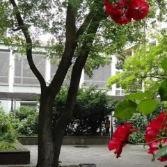 Отель der Akademie C. Pirckheimer Haus Германия, Нюрнберг - отзывы, цены и фото номеров - забронировать отель der Akademie C. Pirckheimer Haus онлайн фото 2