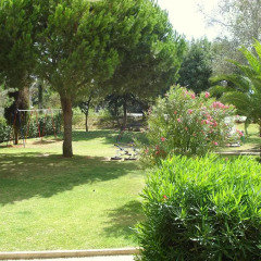 Отель Parque das Amendoeiras Португалия, Виламура - отзывы, цены и фото номеров - забронировать отель Parque das Amendoeiras онлайн фото 6