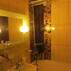 Гостиница In City Centre Apartment в Иркутске отзывы, цены и фото номеров - забронировать гостиницу In City Centre Apartment онлайн Иркутск ванная фото 2