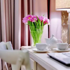 Гостиница Де Пари 4* Стандартный номер разные типы кроватей фото 9