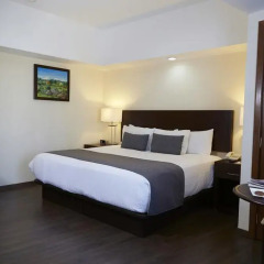Hotel Ejecutivo Express 3* Стандартный номер с различными типами кроватей фото 2