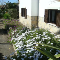 Отель Casa De Hospedes Flor Do Jardim Мафра фото 2