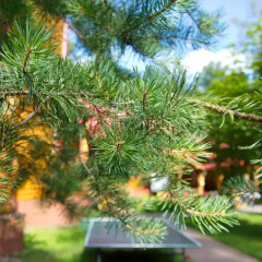 Гостиница Истра Holiday в Трусово 2 отзыва об отеле, цены и фото номеров - забронировать гостиницу Истра Holiday онлайн фото 4