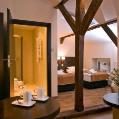 Отель Spatz Aparthotel 3* Номер Делюкс с различными типами кроватей фото 5