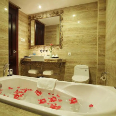 The Palmy Hotel & Spa 3* Стандартный номер с различными типами кроватей фото 6