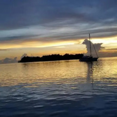 Ravihina Home Stay in Munda, Solomon Islands from 385$, photos, reviews - zenhotels.com beach