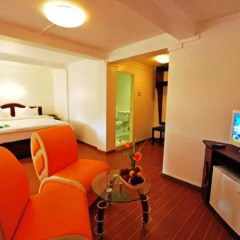 Clover Hotel 3* Номер Делюкс с различными типами кроватей фото 10