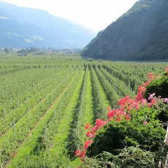 Отель Garni Weghueb Парчинес фото 2