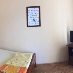 Апартаменты Apartments Pejanovic комната для гостей фото 4