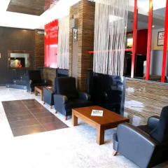 Lion City Hotel Турция, Бурса - отзывы, цены и фото номеров - забронировать отель Lion City Hotel онлайн интерьер отеля фото 2