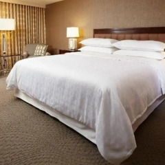 Sheraton Cavalier Saskatoon Hotel 3* Стандартный номер с двуспальной кроватью фото 2