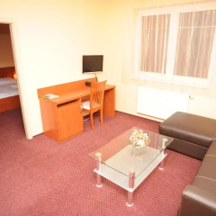 Hotel Olympionik 3* Стандартный номер фото 8