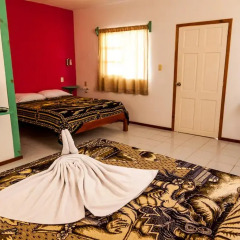 Hotel Residencia La Mariposa 3* Стандартный номер с 2 отдельными кроватями фото 4