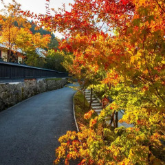 Отель Ryokan Miyama Sansou Минамиогуни фото 8