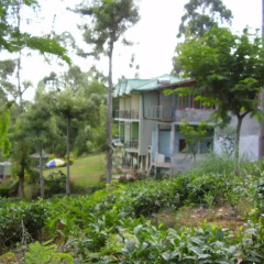 Отель Ranmal Tea Plantation Bungalow