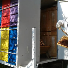 Отель Farm stay Domačija Butul спортивное сооружение