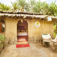Отель Riad Lamane Марокко, Загора - отзывы, цены и фото номеров - забронировать отель Riad Lamane онлайн фото 12