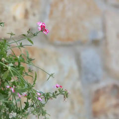Отель Landgasthof Jagawirt фото 2