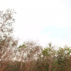 Отель Cottage Hill Lanta Ланта