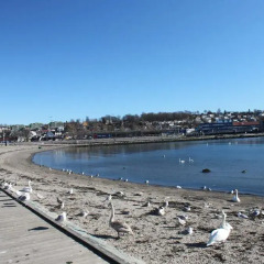 Отель Mitt Hotell пляж фото 2