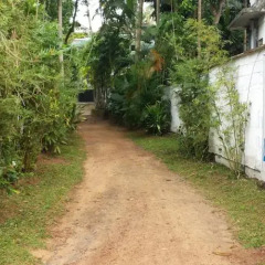 Отель Jungle Paradise Back House Шри-Ланка, Хиккадува - отзывы, цены и фото номеров - забронировать отель Jungle Paradise Back House онлайн фото 2