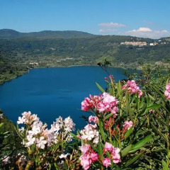 Отель La Regina del Lago Италия, Неми - отзывы, цены и фото номеров - забронировать отель La Regina del Lago онлайн приотельная территория
