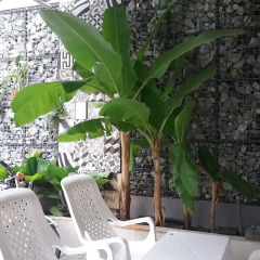 Отель Sky Garden Apartment Вьетнам, Вунгтау - отзывы, цены и фото номеров - забронировать отель Sky Garden Apartment онлайн бассейн