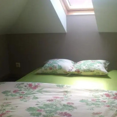 Отель Beltes Street Guest House комната для гостей фото 2