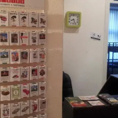 United Hostel развлечения