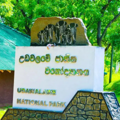 Отель Shangri-Lanka Village Бунгало Делюкс с различными типами кроватей фото 21