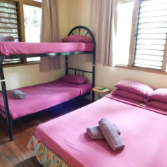 Отель Colo-I-Suva Rainforest Eco Resort 3* Номер категории Эконом фото 4