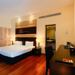 Renuka City Hotel 3* Стандартный номер с различными типами кроватей фото 5