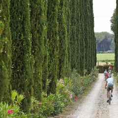 Отель Agriturismo Tra gli Ulivi Кастаньето-Кардуччи приотельная территория