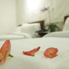 Отель Airport Hotel Costa Rica Коста-Рика, Алахуэла - отзывы, цены и фото номеров - забронировать отель Airport Hotel Costa Rica онлайн спа