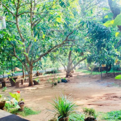 Отель Kataragama Homestay парковка