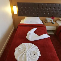 Forest Park Hotel 3* Стандартный номер с разными типами кроватей фото 17